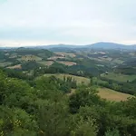 Tortorina 3*