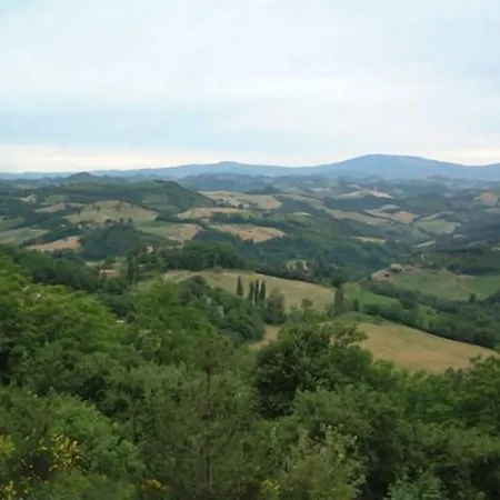 Tortorina 3*
